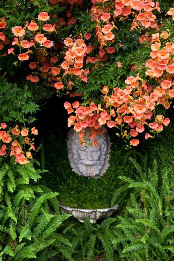 La Cervara Bed & Breakfast Santa Margherita Ligure Bagian luar foto
