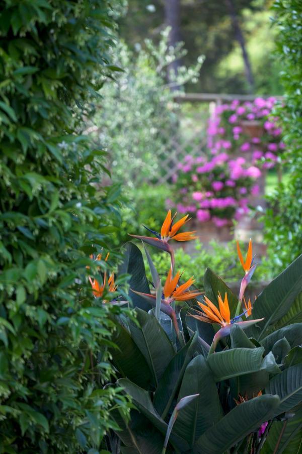 La Cervara Bed & Breakfast Santa Margherita Ligure Bagian luar foto